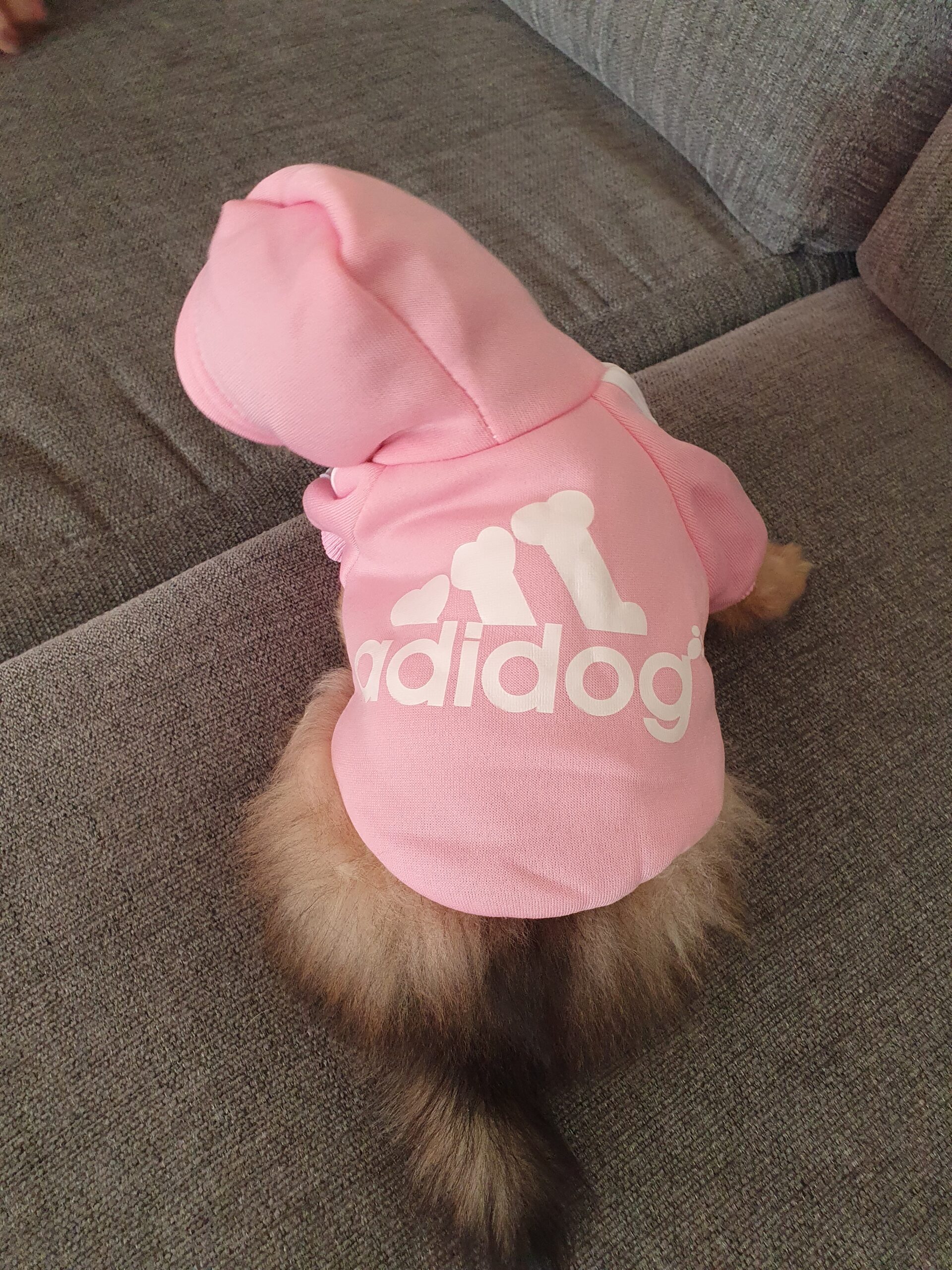Adidog Luvtröja rosa med vit text
