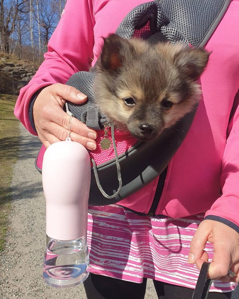 Bästa väskan och vattenflaskan för utflykterna eller promenaderna varma dagar!