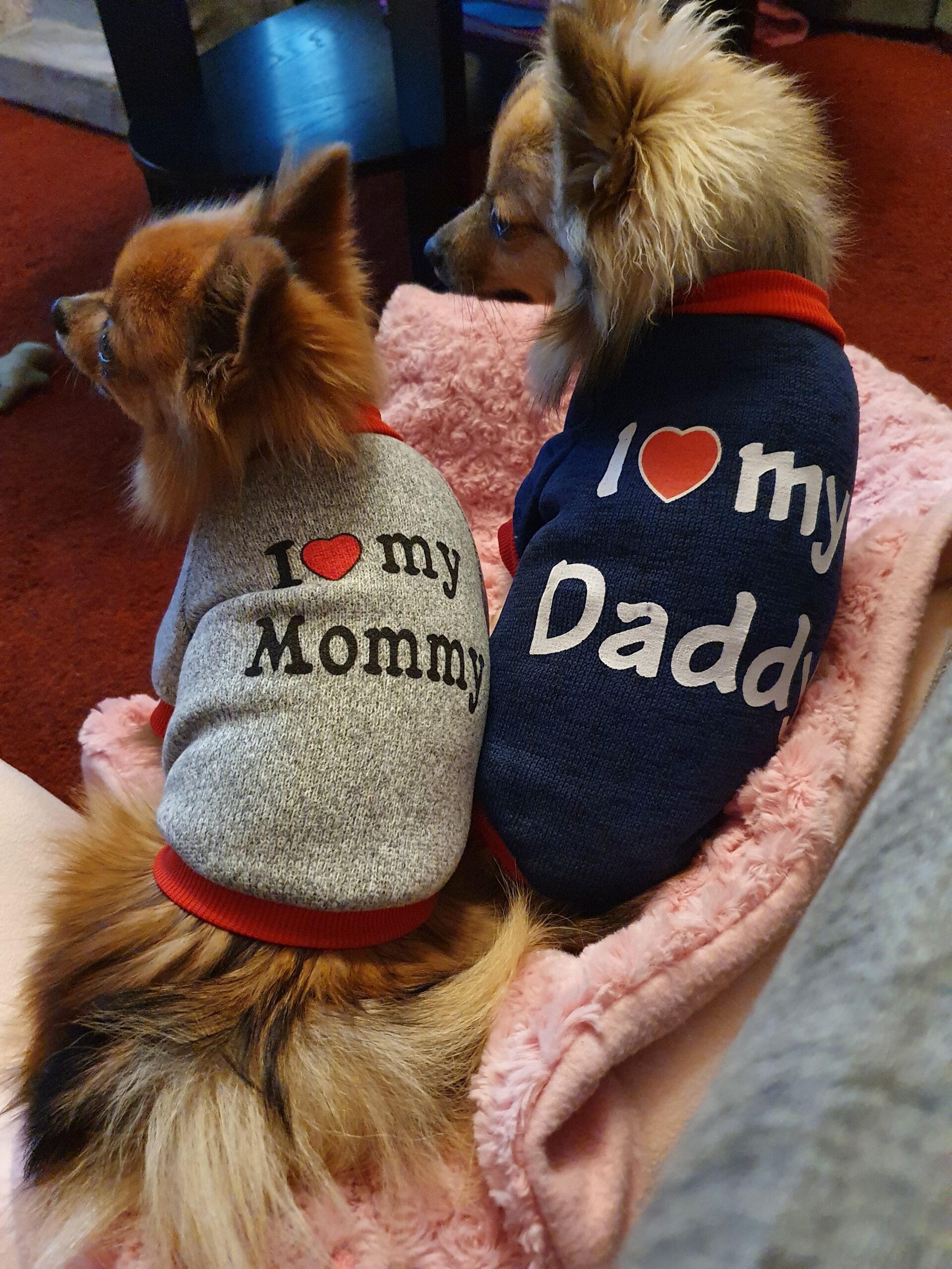 I Love my Mommy/Daddy sweatshirt - Bild 5