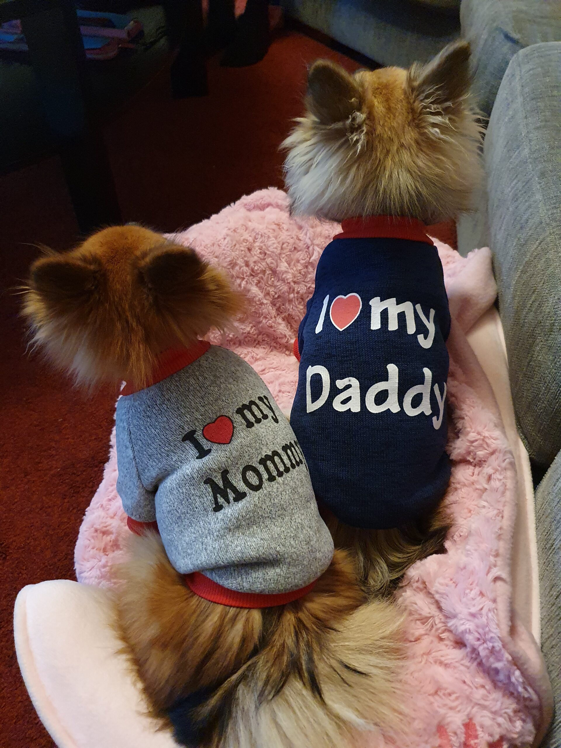 I Love my Mommy/Daddy sweatshirt