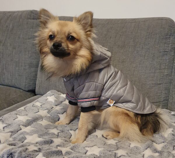 Tuff jacka med ärmar, grå