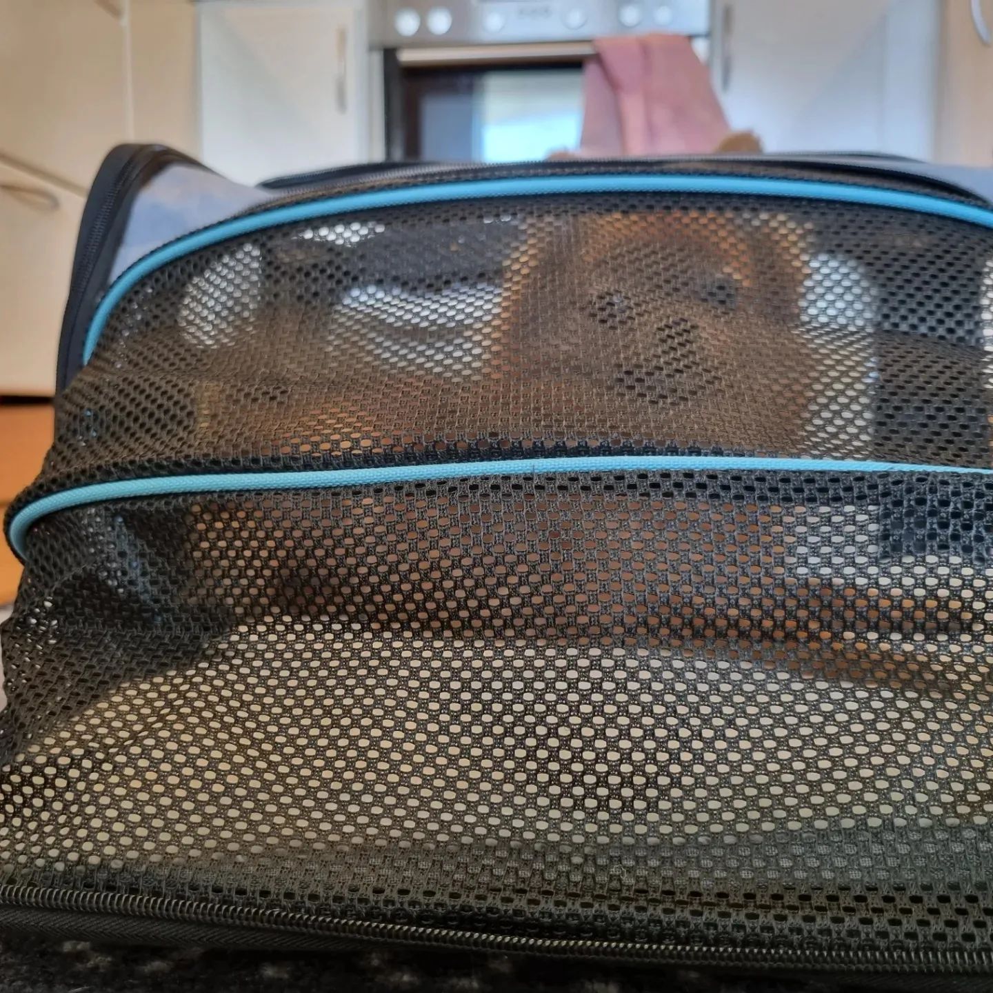 Cen Kinfo exbanderbar, vikbar och mjuk hundväska - Bild 8