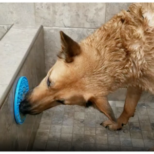 Dog Distraction Lick Mat