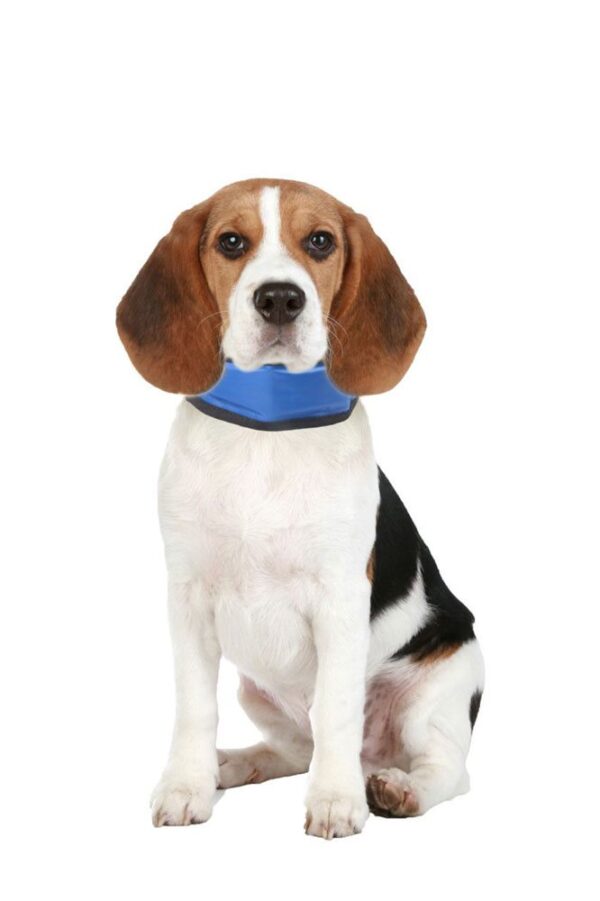 Halsband kyleffekt Bandana 3 olika storlekar