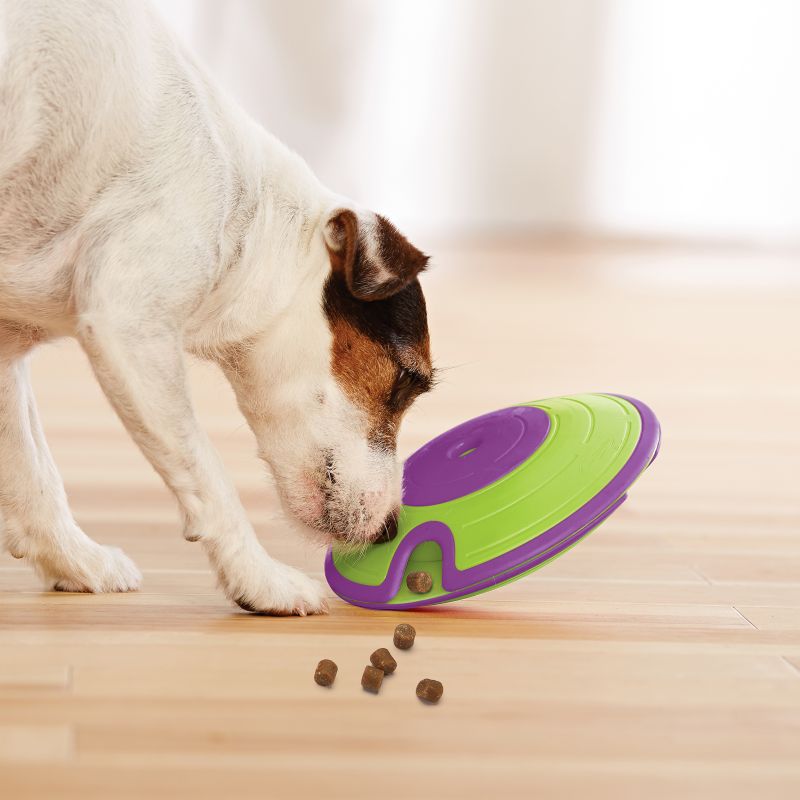 Dog Treat Maze 18 cm
