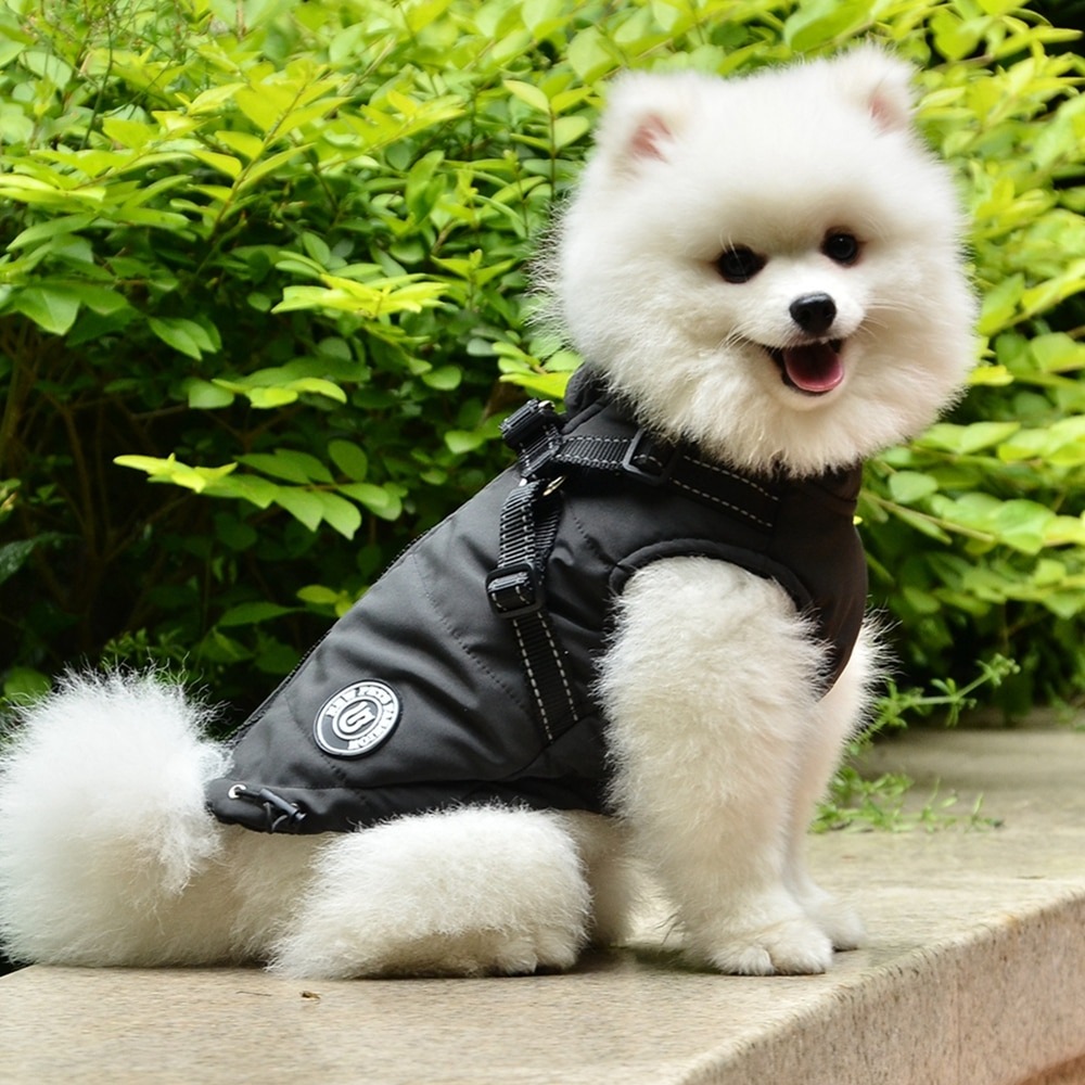 New Pets Fashion grå vinterjacka med inbyggd sele - Bild 2