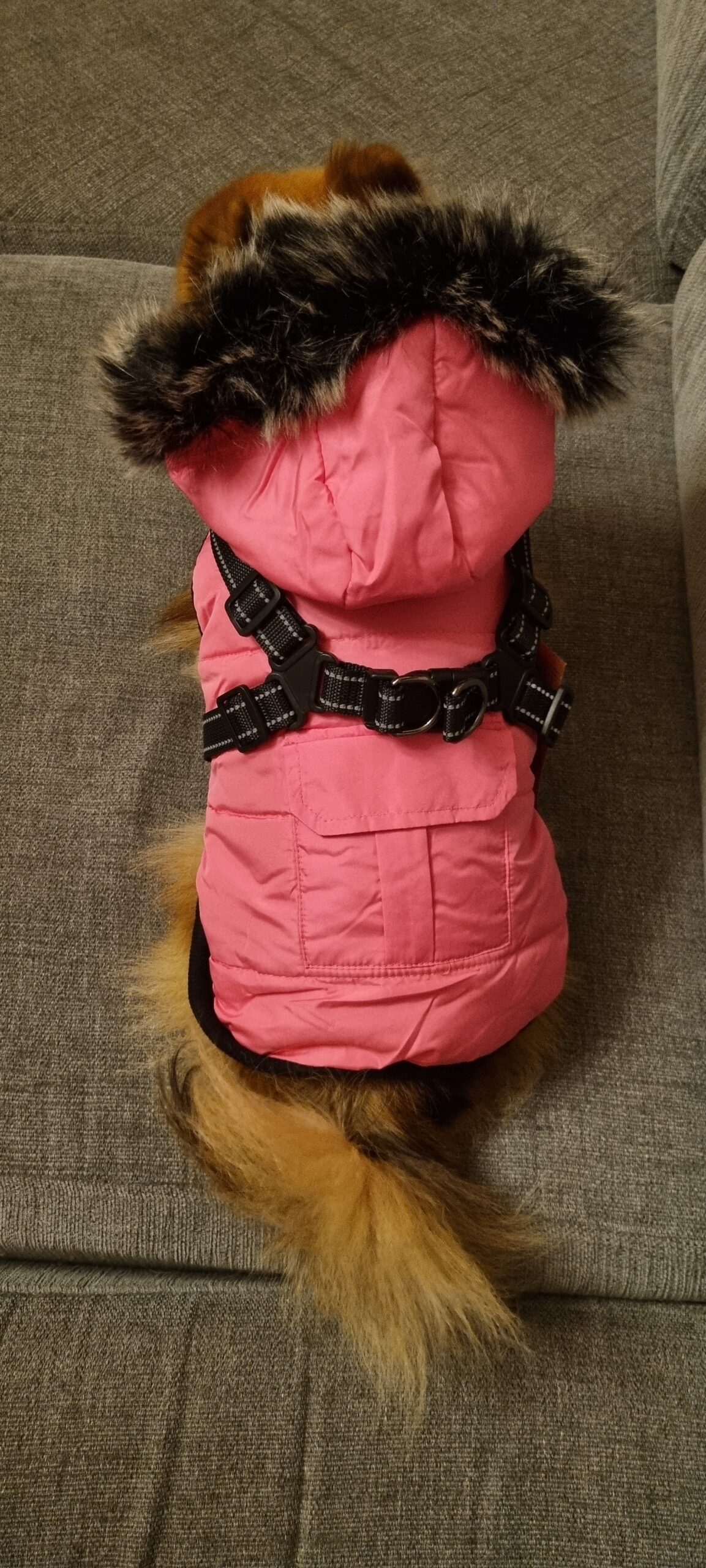 Mangman luvjacka med inbyggd sele rosa - Bild 4