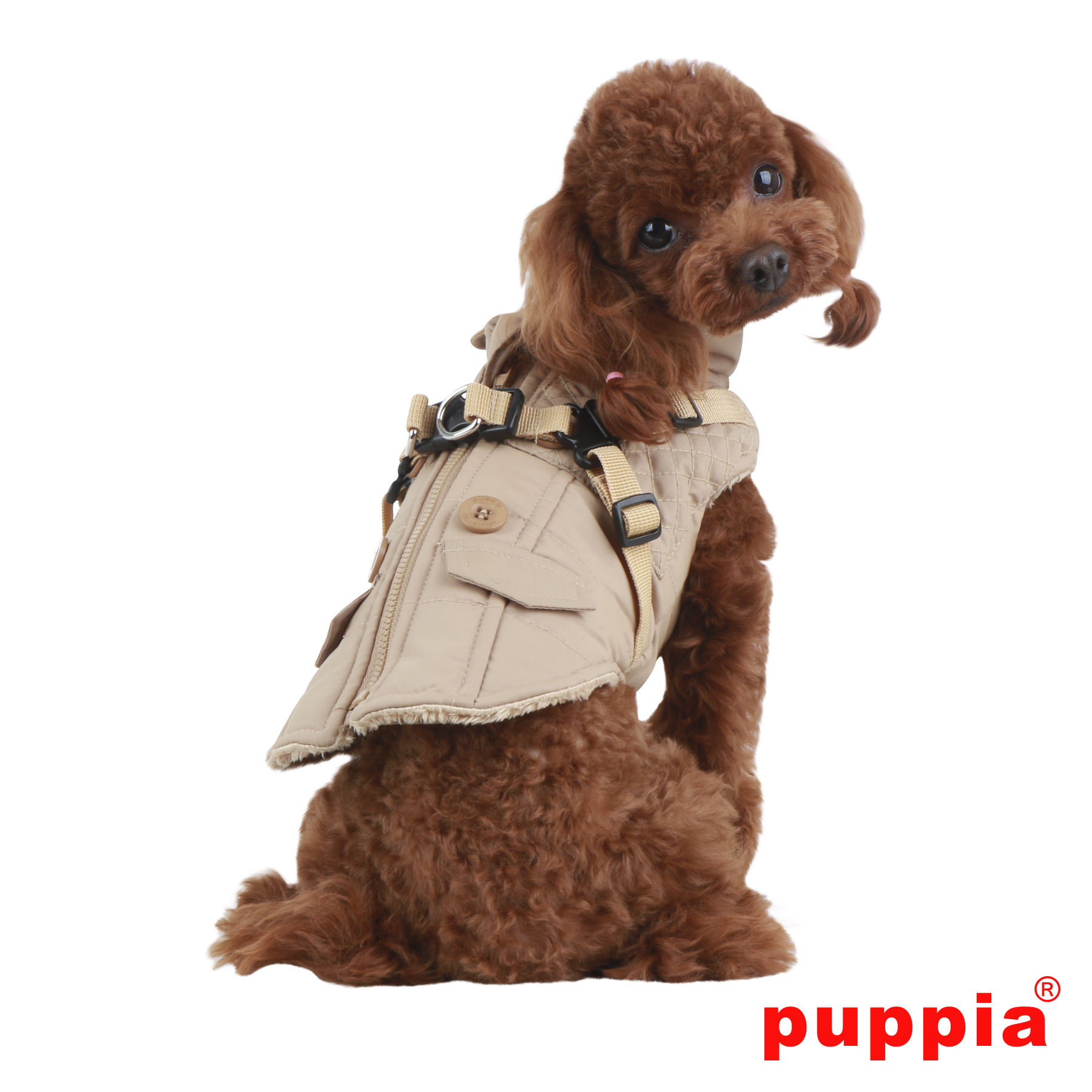 Puppia - Wilkes - Bild 2