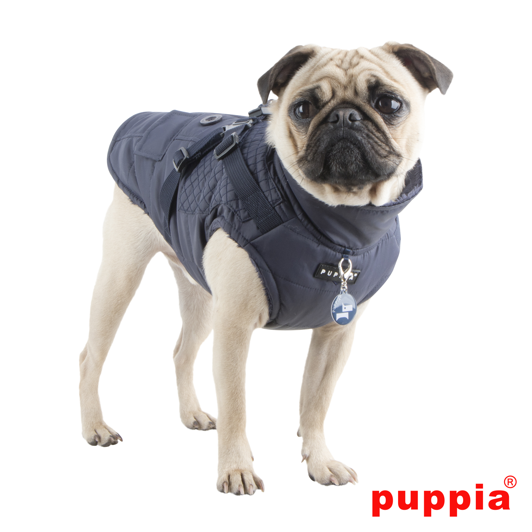 Puppia - Wilkes - Bild 5