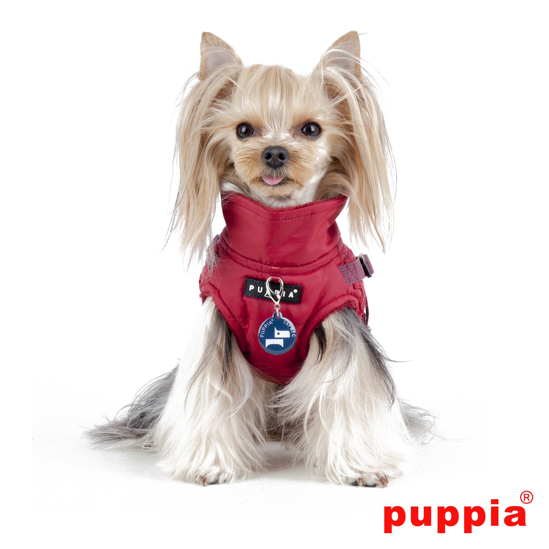 Puppia - Wilkes - Bild 8