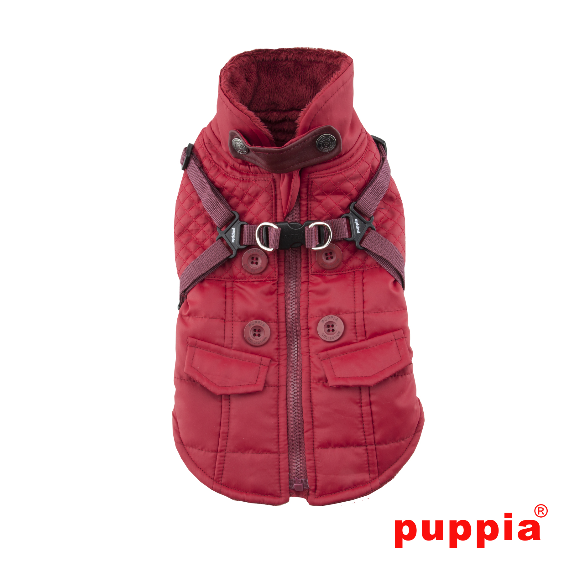 Puppia - Wilkes - Bild 9
