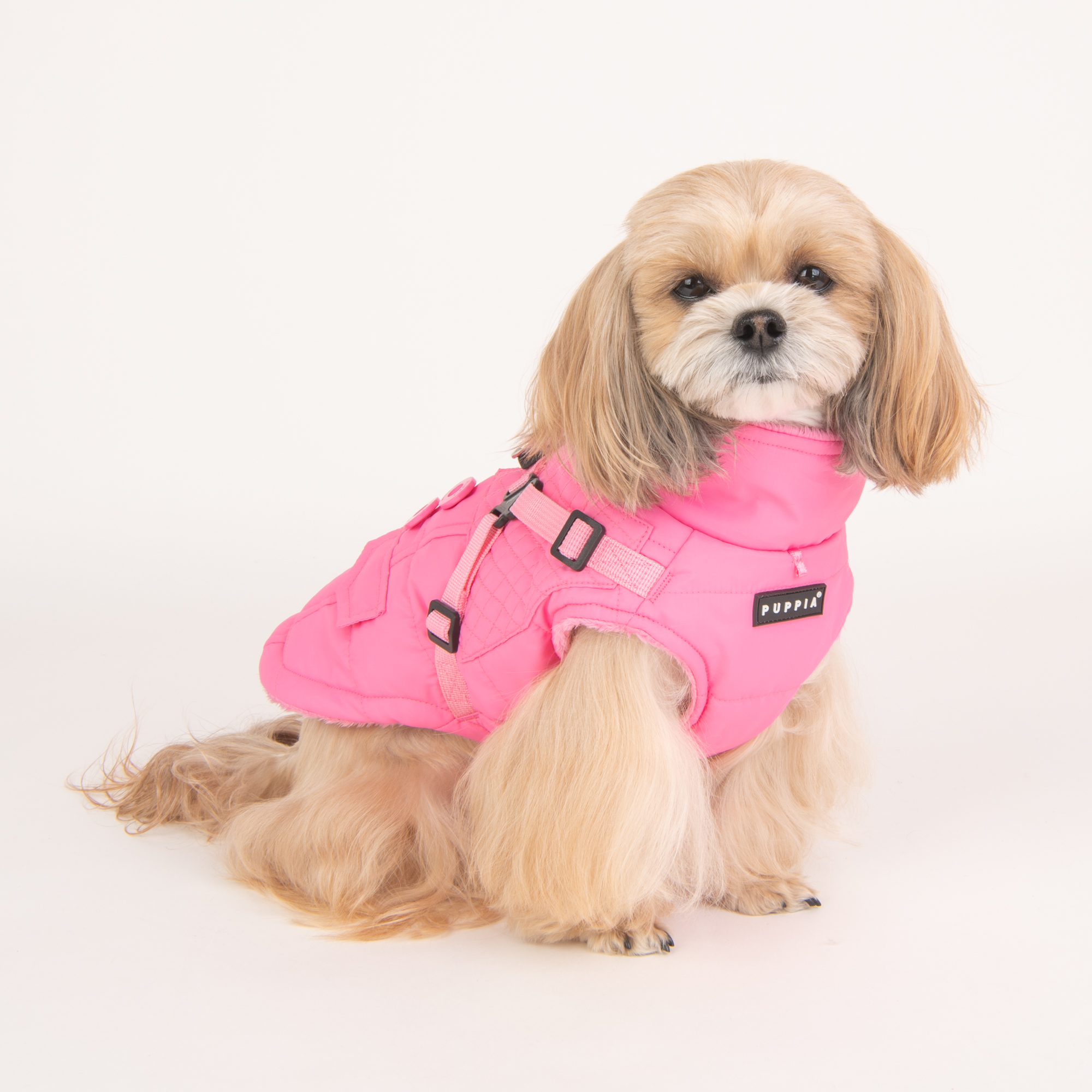 Puppia - Wilkes - Bild 12