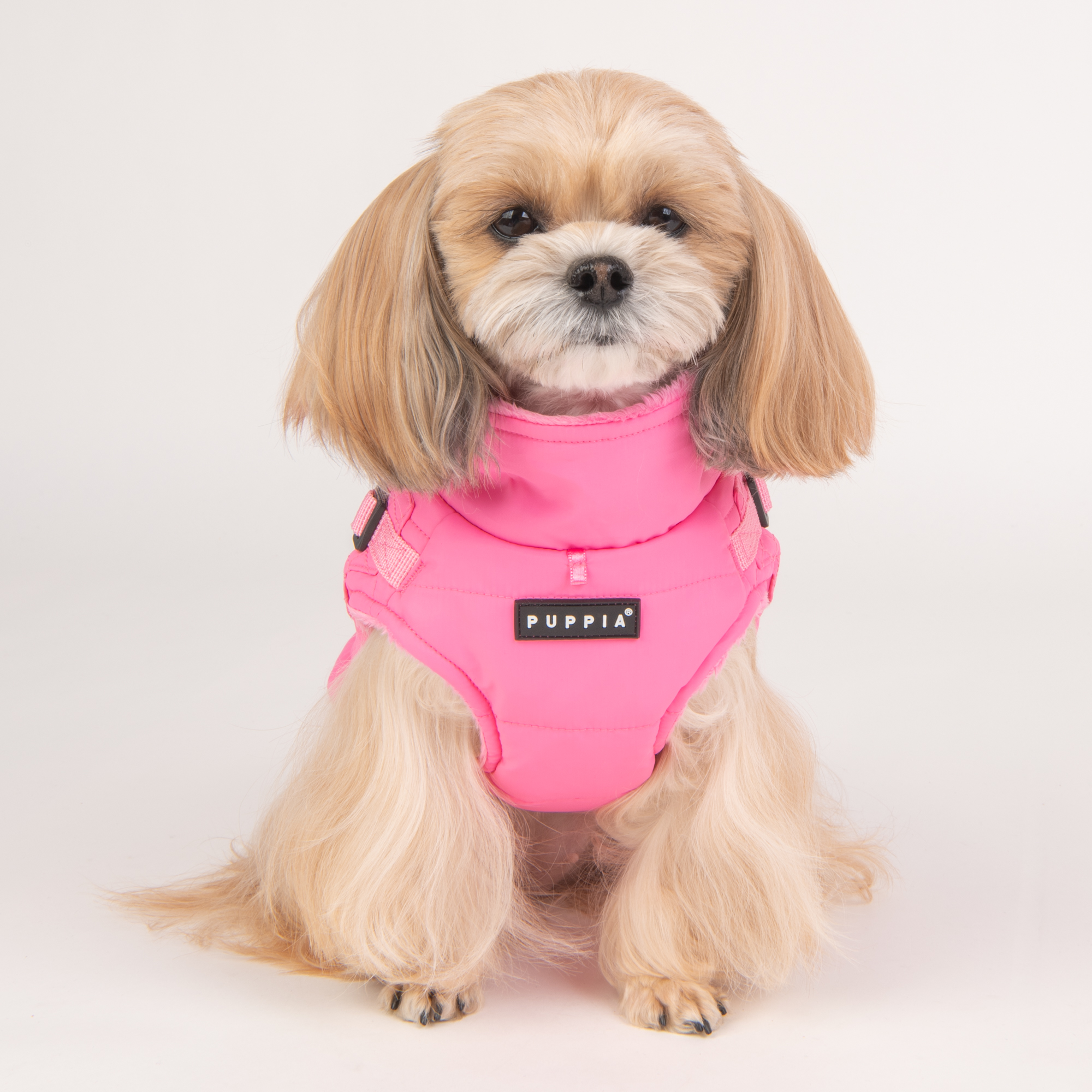 Puppia - Wilkes - Bild 14