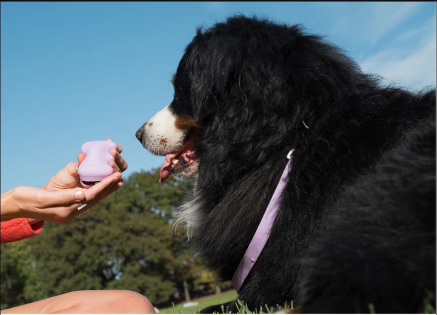 Easy-squeeze silikondispenser för hundgodis - Bild 6